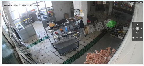 EasyCVR AI技术赋能食品加工厂管理透明化，筑牢食品安全网络防线